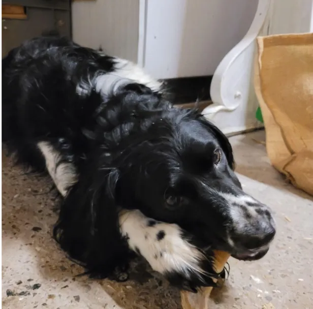 Lucy Savigny NATUROPATHE