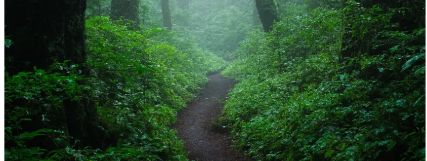 Lucy Savigny NATUROPATHE