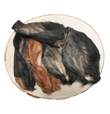 Lucy Savigny NATUROPATHE