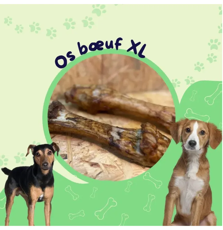 Lucy Savigny NATUROPATHE