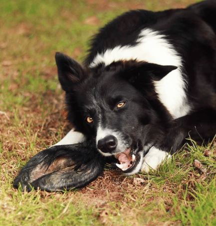 Lucy Savigny NATUROPATHE