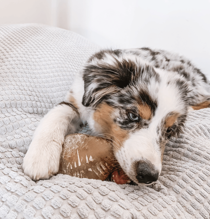 Lucy Savigny NATUROPATHE