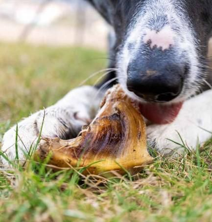 Lucy Savigny NATUROPATHE