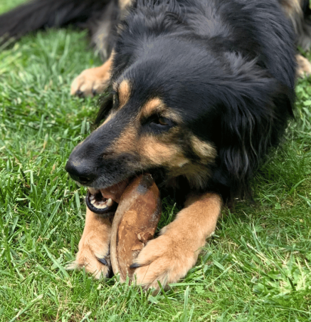 Lucy Savigny NATUROPATHE