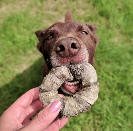 Lucy Savigny NATUROPATHE