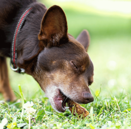 Lucy Savigny NATUROPATHE