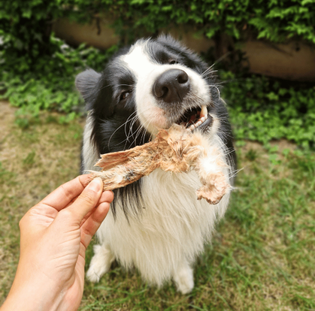 Lucy Savigny NATUROPATHE