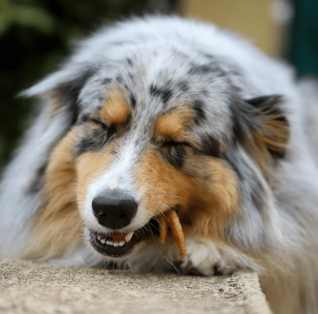 Lucy Savigny NATUROPATHE