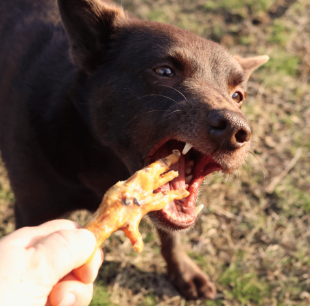 Lucy Savigny NATUROPATHE