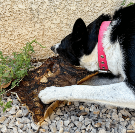 Lucy Savigny NATUROPATHE