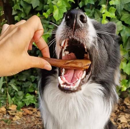 Lucy Savigny NATUROPATHE