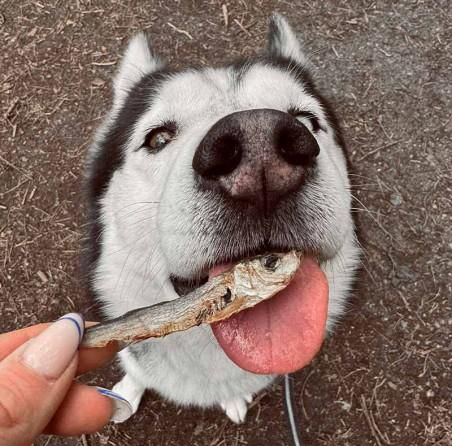 Lucy Savigny NATUROPATHE