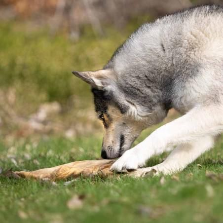 Lucy Savigny NATUROPATHE