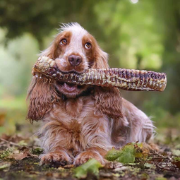 Lucy Savigny NATUROPATHE