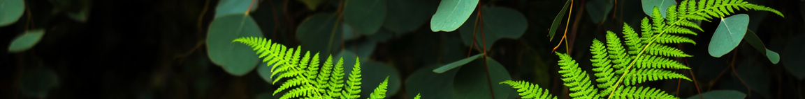 Lucy Savigny NATUROPATHE