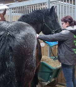 Lucy Savigny NATUROPATHE