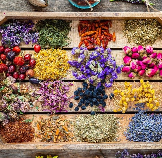 Lucy Savigny NATUROPATHE