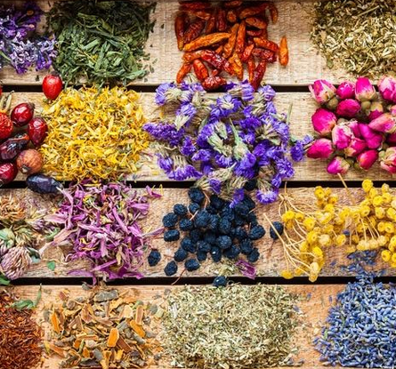 Lucy Savigny NATUROPATHE