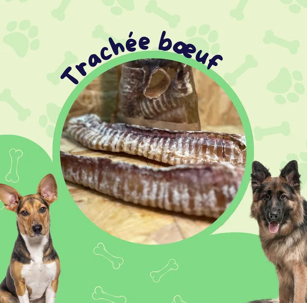 Lucy Savigny NATUROPATHE