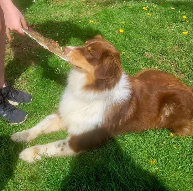 Lucy Savigny NATUROPATHE