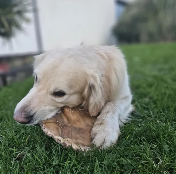 Lucy Savigny NATUROPATHE