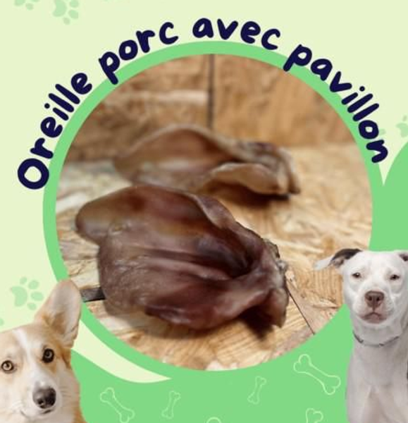 Lucy Savigny NATUROPATHE